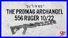 How_To_Install_The_Promag_Archangel_556_Ruger_10_22_Stock_In_Minutes_01_kfz